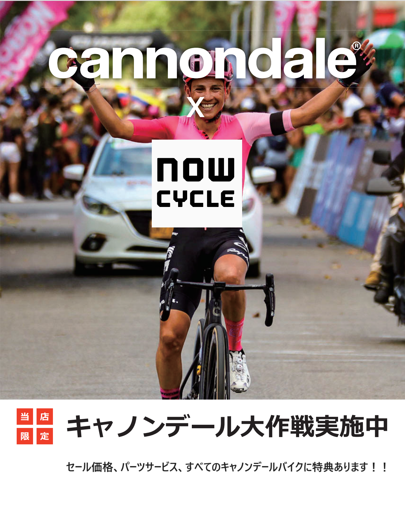 愛知県豊田市の自転車専門店　NOWCYCLE